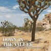 V/A – down in the valley vol. 1 (LP Vinyl)
