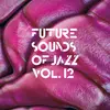 V/A – future sounds of jazz vol. 12 (LP Vinyl)