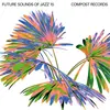 V/A – future sounds of jazz vol. 15 (LP Vinyl)