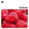 V/A – goosebumps - 25 years of marina records (CD, LP Vinyl)