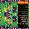 V/A – kaleidoscope! new spirits known and unknown (CD, LP Vinyl)