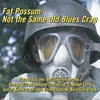 V/A – not the same old blues crap vol. 1 (LP Vinyl)