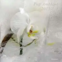 V/A – pop ambient 2015 (CD)