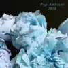 V/A – pop ambient 2018 (LP Vinyl)
