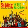 V/A – shake in the morning (LP Vinyl)