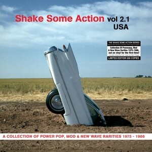 V/A, shake some action vol. 2.1 (us) cover