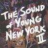 V/A – sound of young new york 2 (LP Vinyl)