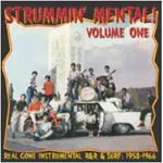 V/A – strummin´ mental part 1 (CD)