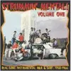 V/A – strummin´ mental part 1 (CD)
