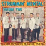 V/A – strummin´ mental part 2 (CD)