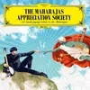 V/A – the maharajas appreciaion society (LP Vinyl)