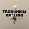 V/A – trondheim calling 18 (LP Vinyl)