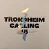 V/A – trondheim calling 18 (LP Vinyl)