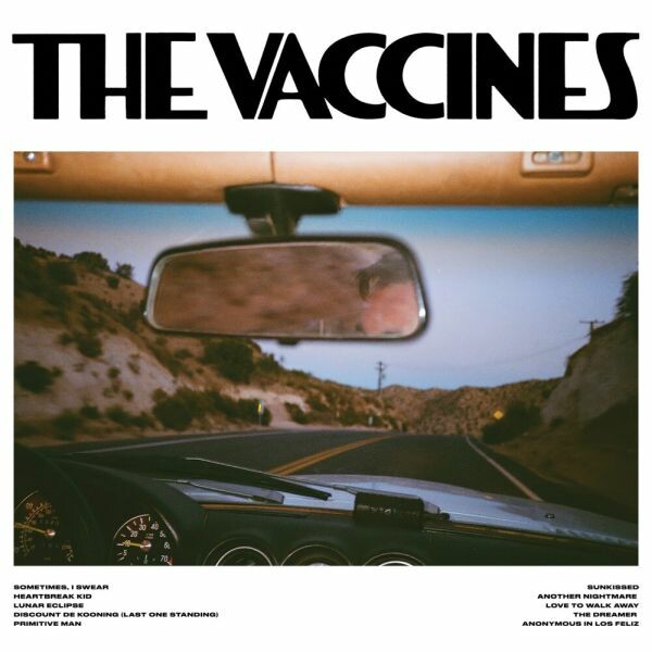 VACCINES – pick-up full of pink carnations (CD, LP Vinyl)