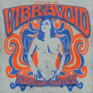 Cover VIBRAVOID, mushroom mantras
