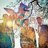 VOLCANO! – pinata (CD, LP Vinyl)