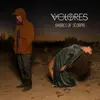 VOLORES – shores of scorpio (jade eco green) (LP Vinyl)
