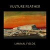 VULTURE FEATHER – liminal fields (LP Vinyl)