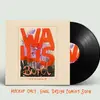 WALLIS BIRD – i can see your house from here (CD, LP Vinyl)