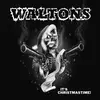 WALTONS – it´s christmastime (LP Vinyl)