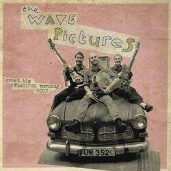 WAVE PICTURES, great big flamingo burning moon cover