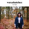 WAXAHATCHEE – ivy trip (LP Vinyl)