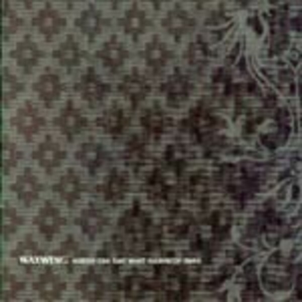 WAXWING – nobody can take ... (CD, LP Vinyl)