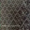 WAXWING – nobody can take ... (CD, LP Vinyl)
