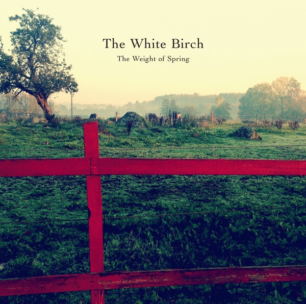 WHITE BIRCH, the weight of spring cover