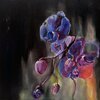 WHY BONNIE – wish on the bone (CD, LP Vinyl)