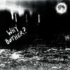 WHY BOTHER? – lacerated nights (LP Vinyl)