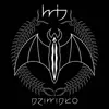 WIJ – dziwidlo (LP Vinyl)