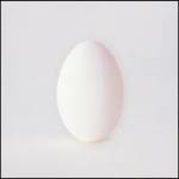 WILCO – a ghost is born (LP Vinyl)