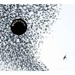 WILCO – sky blue sky (LP Vinyl)