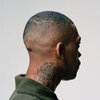 WILEY – 100 percent publishing (CD)