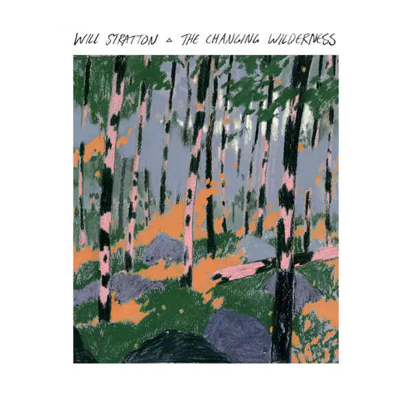WILL STRATTON – the changing wilderness (CD, LP Vinyl)