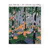 WILL STRATTON – the changing wilderness (CD, LP Vinyl)