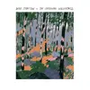 WILL STRATTON – the changing wilderness (CD, LP Vinyl)
