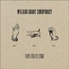 WILLARD GRANT CONSPIRACY – paper covers stone (CD)