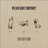 WILLARD GRANT CONSPIRACY – paper covers stone (CD)