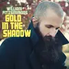 WILLIAM FITZSIMMONS – gold in the shadow (CD, LP Vinyl)