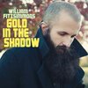 WILLIAM FITZSIMMONS – gold in the shadow (LP Vinyl)