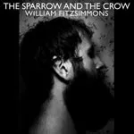 WILLIAM FITZSIMMONS – sparrow and the crow (CD, LP Vinyl)