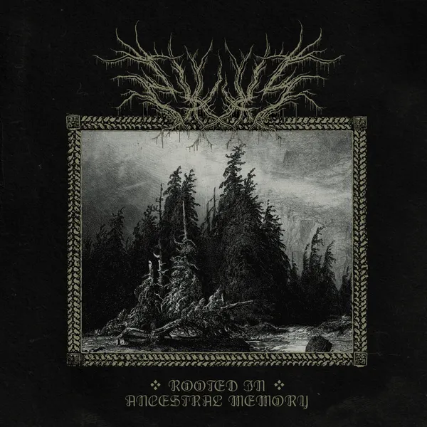 WLVS – rooted in ancestral memory (LP Vinyl)
