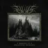 WLVS – rooted in ancestral memory (LP Vinyl)