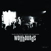 WOLFHOUNDS – hands in the till: compete john peel sessions (CD, LP Vinyl)