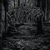 WOLVES IN THE THRONE ROOM – 2005 demo (CD, LP Vinyl)