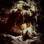 Cover WOLVES IN THE THRONE ROOM, celestial lineage