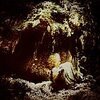WOLVES IN THE THRONE ROOM – celestial lineage (LP Vinyl)