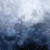 WOLVES IN THE THRONE ROOM – celestite (CD, LP Vinyl)